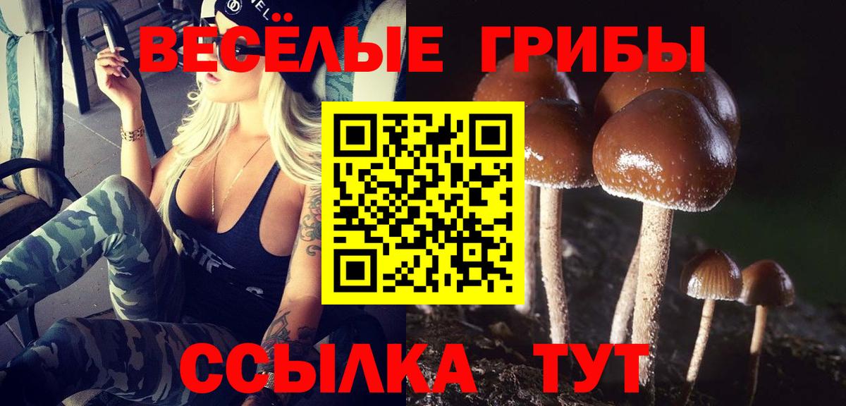 Галлюциногенные грибы Psilocybe Лыткарино