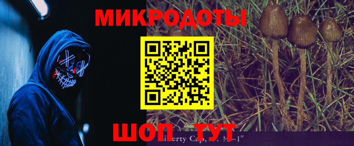 Псилоцибиновые грибы MAGIC MUSHROOMS  что такое   Псилоцибиновые грибы Psilocybine cubensis  Лыткарино  Вход с VPN 